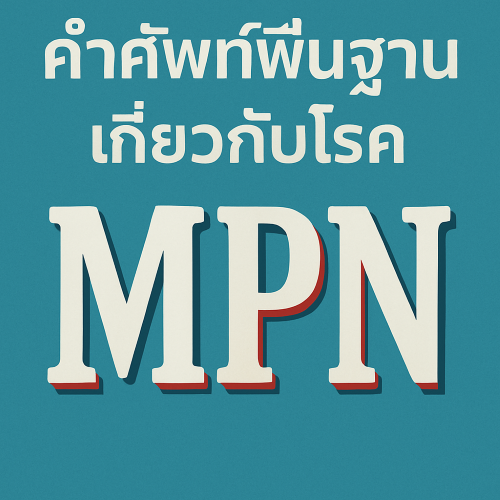 คำศัพท์พื้นฐานเกี่ยวกับ MPN