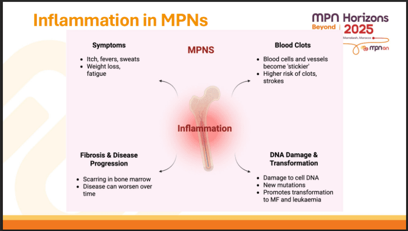 สรุปหัวข้อสำคัญของการประชุม MPN Horizons Conference 2025 – ตอน 3